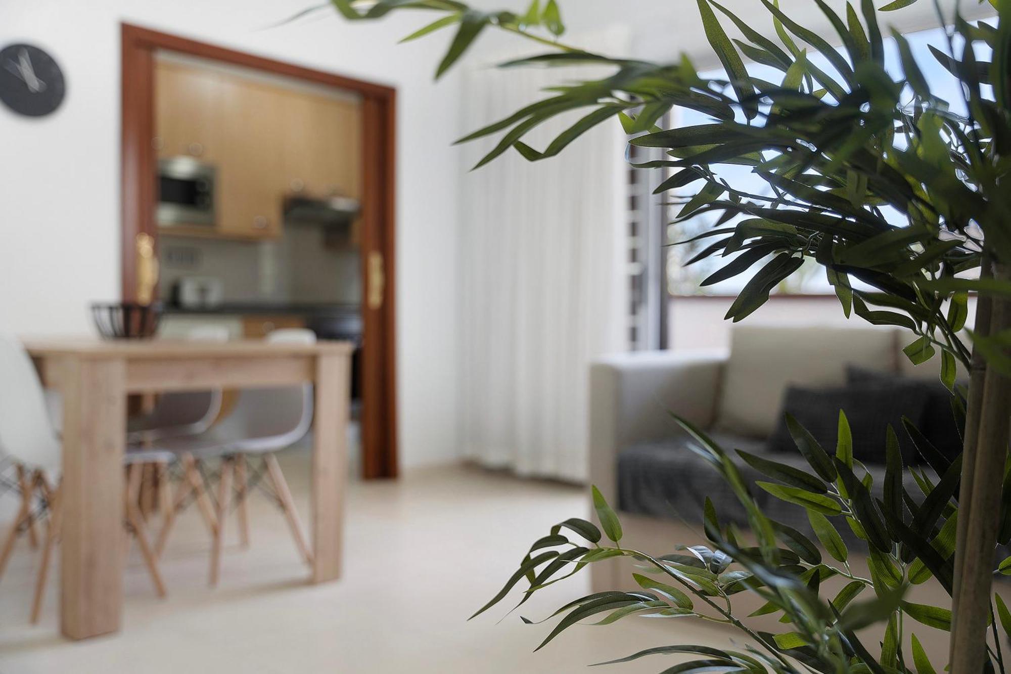 Apartamento Opuntia La Orotava Luaran gambar